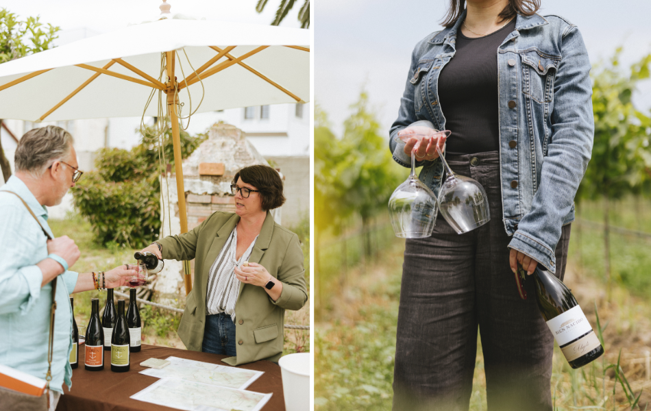 Taste Sustainable Wines All February Long   with ReSIProcal February  