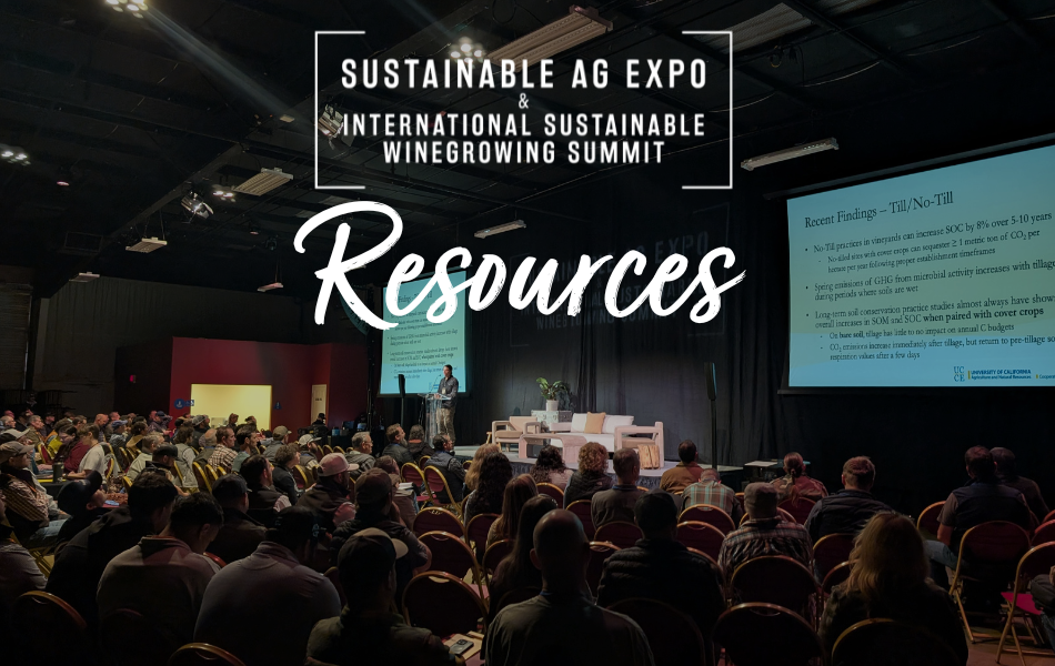 Expo Resources